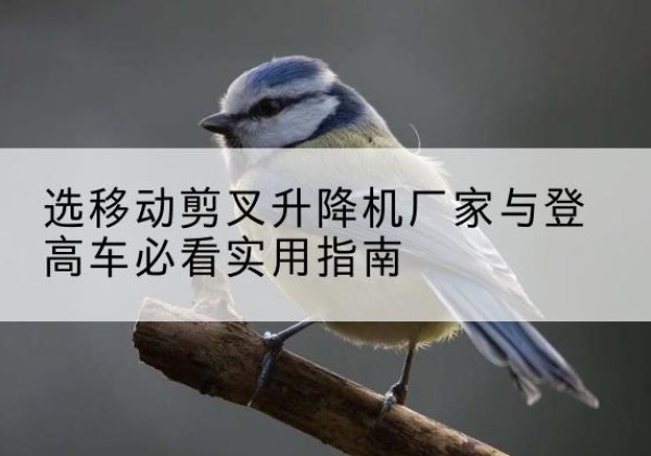 郊区电动升降机厂家-选移动剪叉升降机厂家与登高车必看实用指南