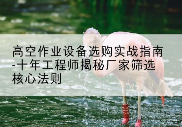 郊区剪叉式升降机厂家-高空作业设备选购实战指南-十年工程师揭秘厂家筛选核心法则